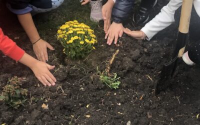 How gardens make children feel empowered in togetherness